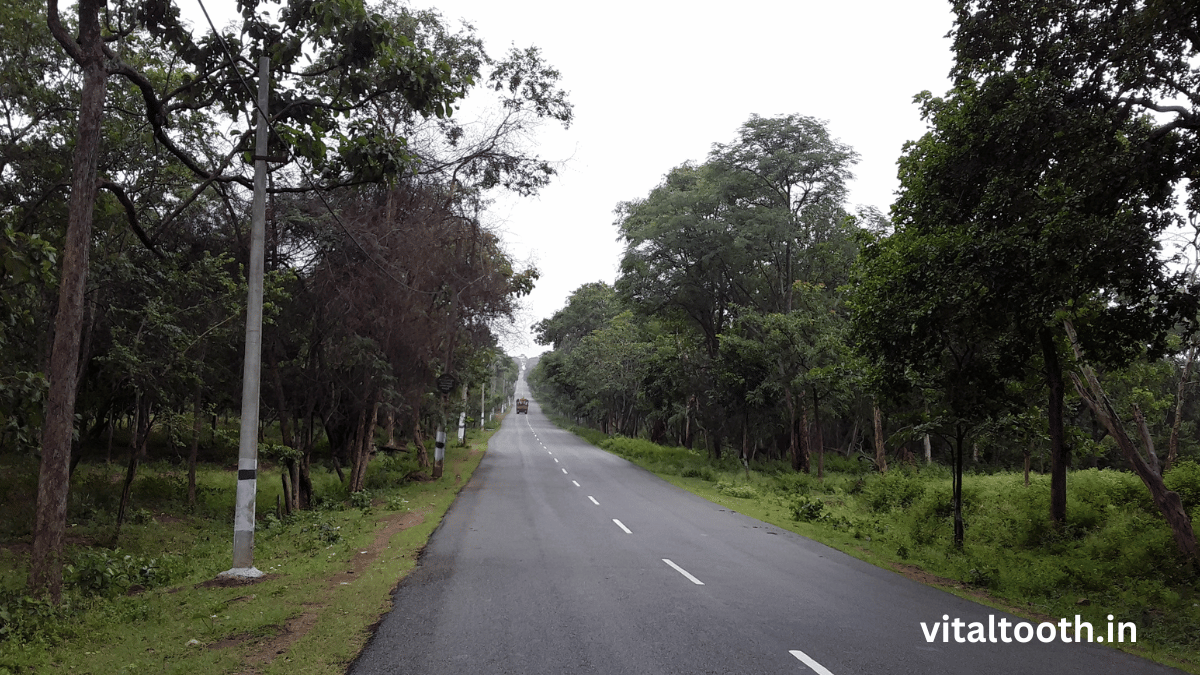Nallamala Jungle View 3